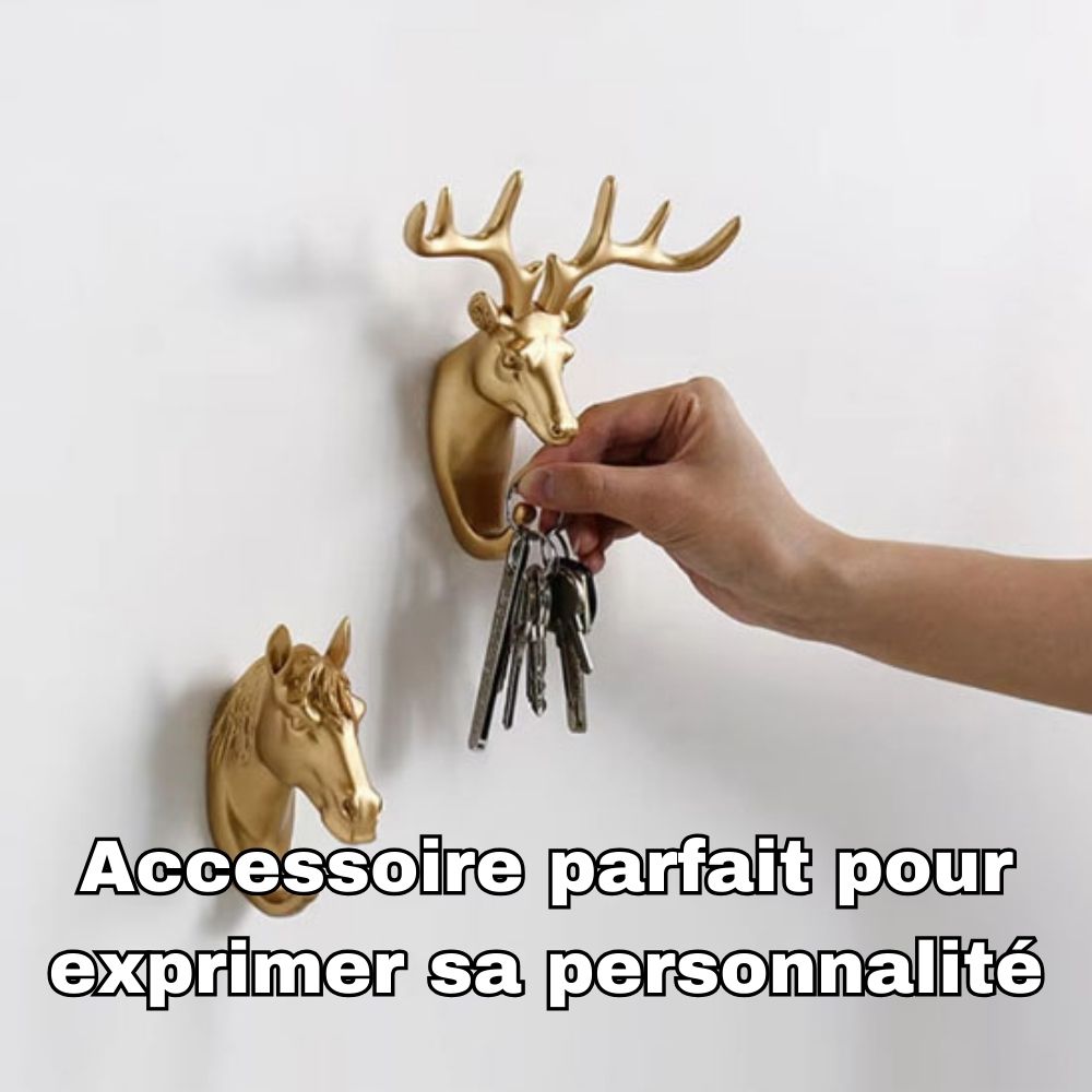 Porte-manteaux-mural-accessoire-exprimer-sa-personnalité
