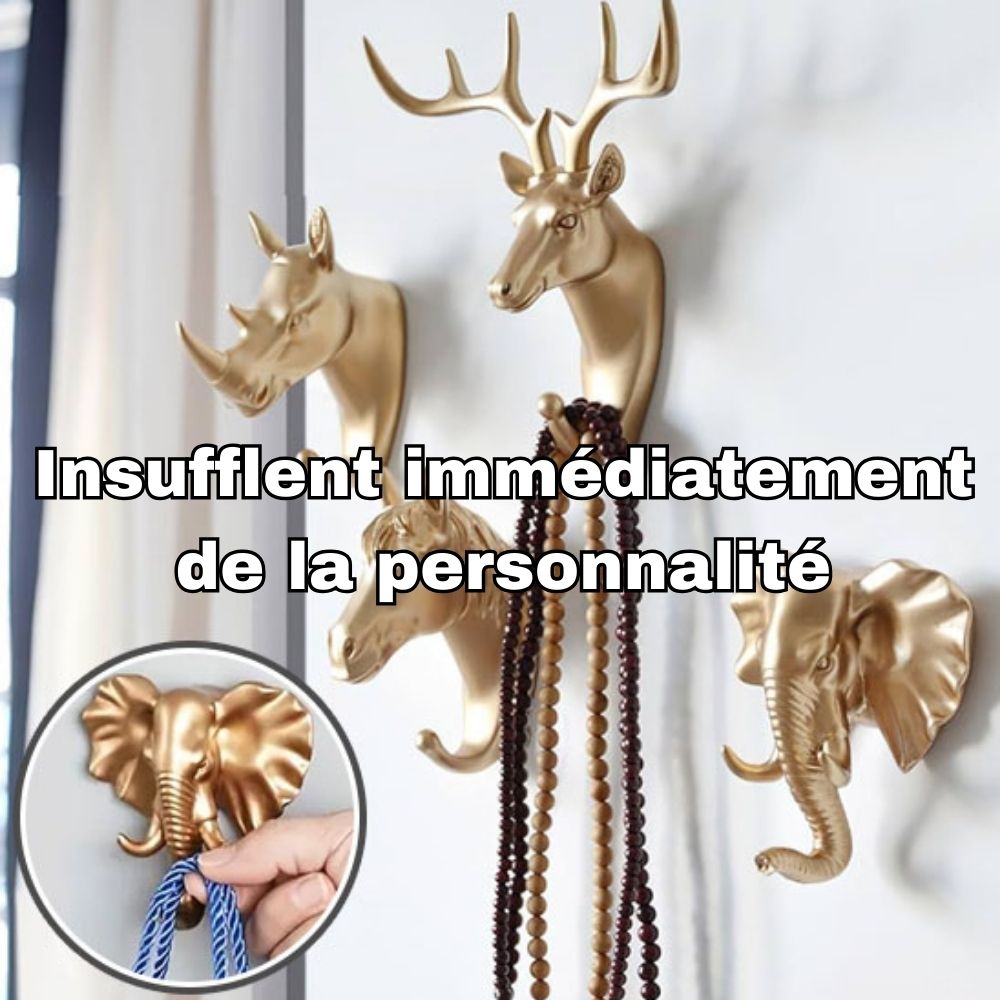 Porte-manteaux-mural-insuffle-immédiatement-personnalité