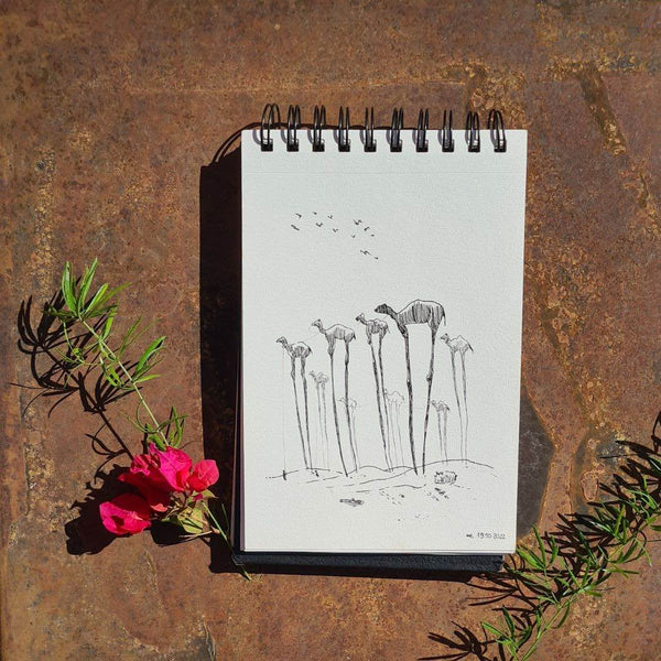 Desert sketches